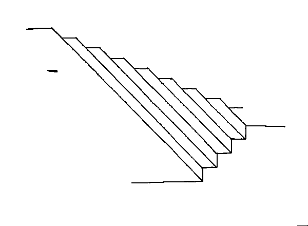 worm